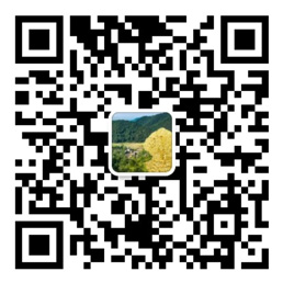 凤凰彩票进入网址